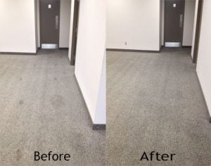 Commercial Carpet Cleaning