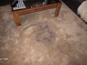 Spot & Stain Removal Brampton, Burlington, Milton, Hamilton, Oakville, Mississauga