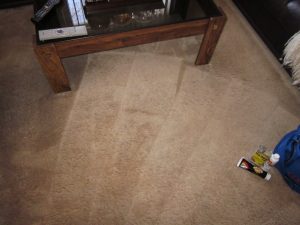 Stain Removal Brampton, Burlington, Milton, Hamilton, Oakville, Mississauga