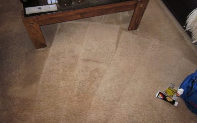 Royal Carpet Cleaning’s Stain Removal Techniques!