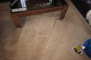 Stain removal Brampton, Burlington, Milton, Hamilton, Oakville, Mississauga