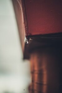 Water Damage Hamilton