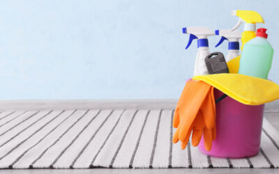 Best Product to Remove Carpet Stains