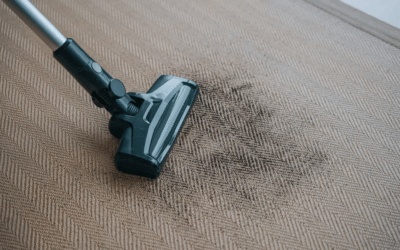 Best Carpet Cleaning Methods for Offices, Retail Stores, and Warehouses